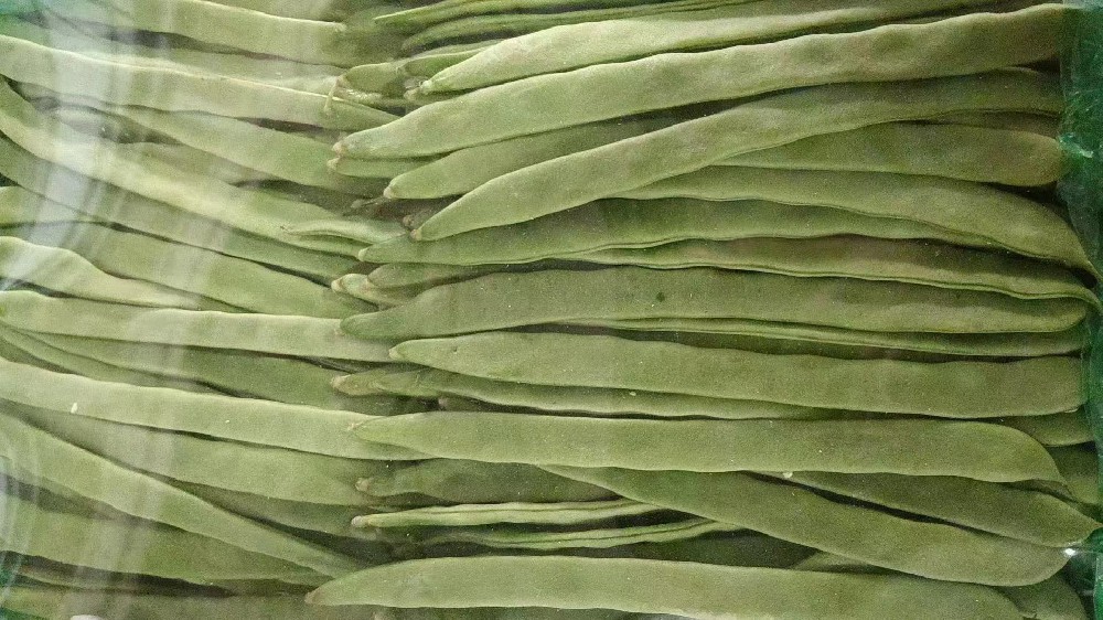 长扁豆.jpg