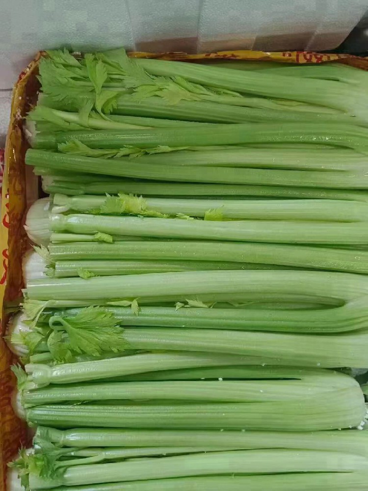 西芹.jpg