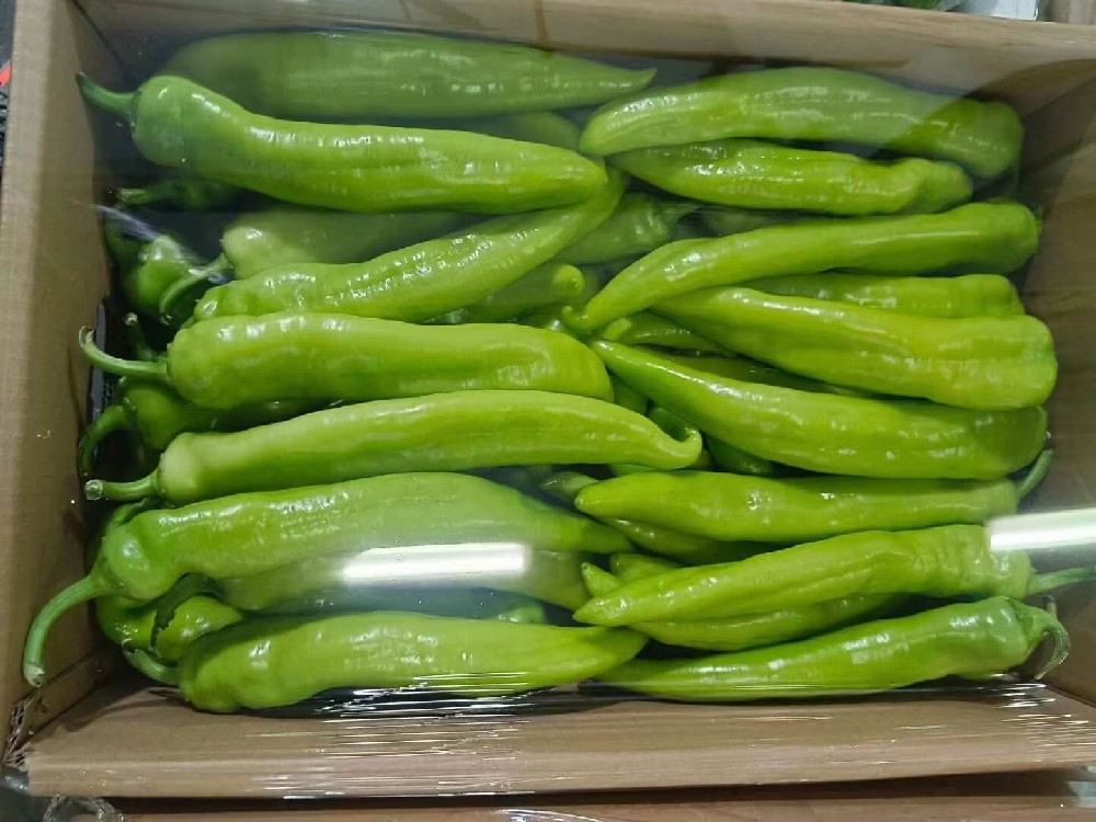 黄皮椒.jpg