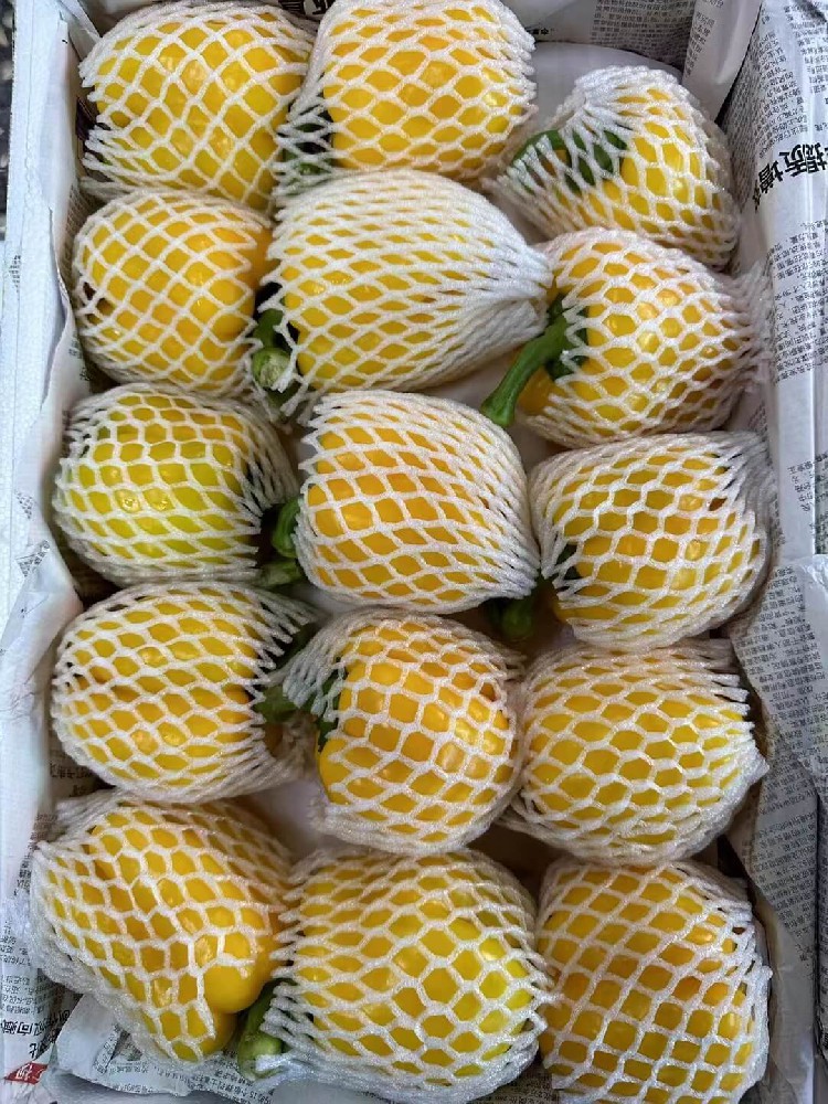 黄彩椒.jpg