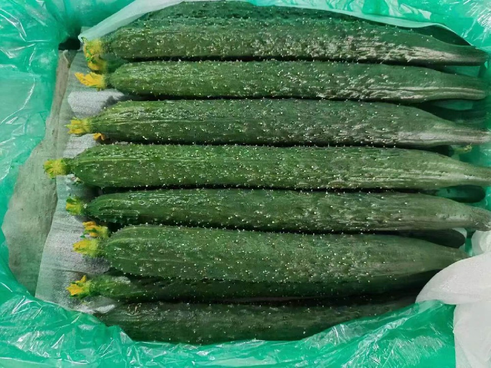 花青瓜.jpg