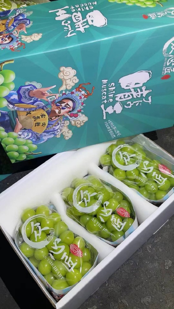 阳光玫瑰.jpg