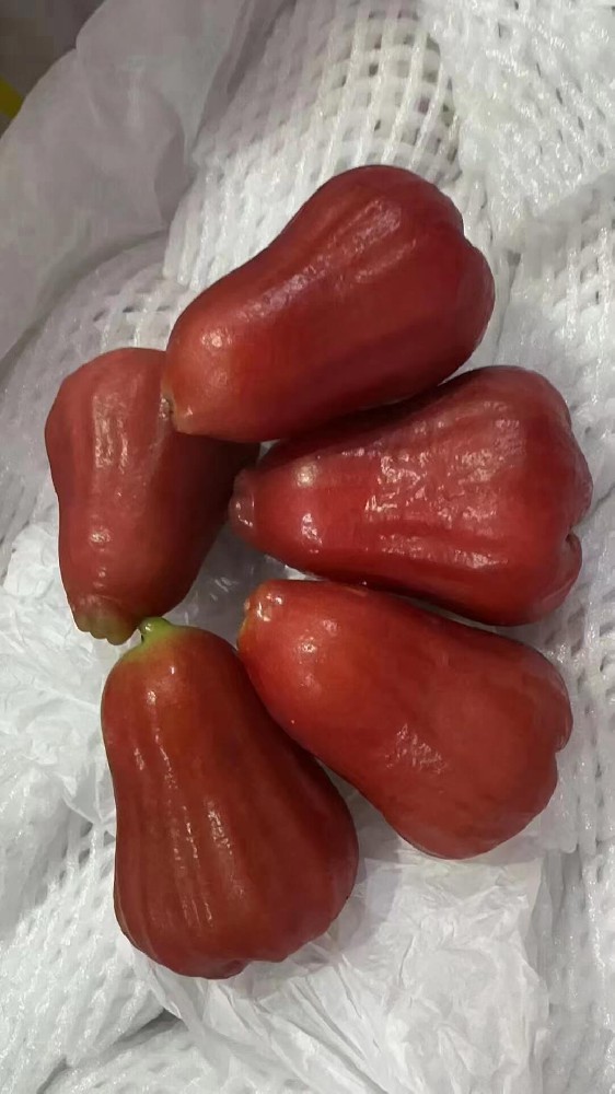 莲雾.jpg