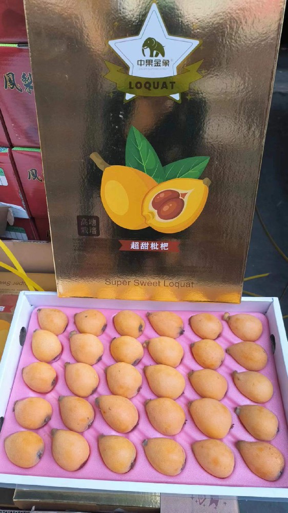 精品枇杷.jpg