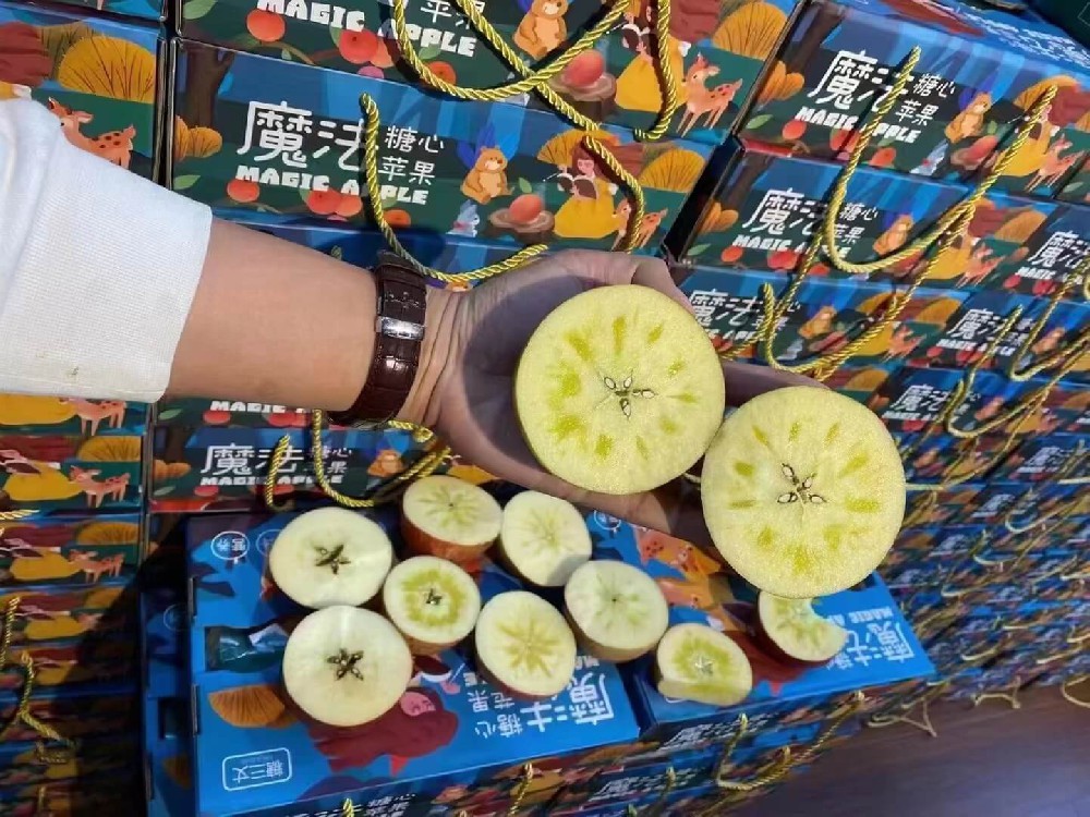广州地区配送