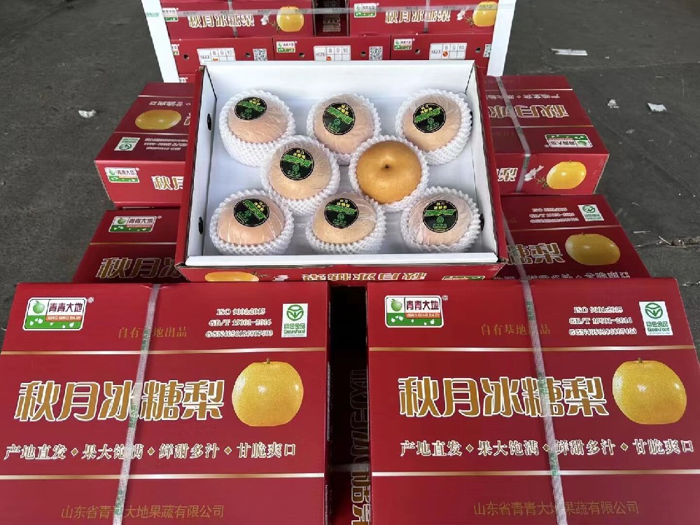 东莞地区配送