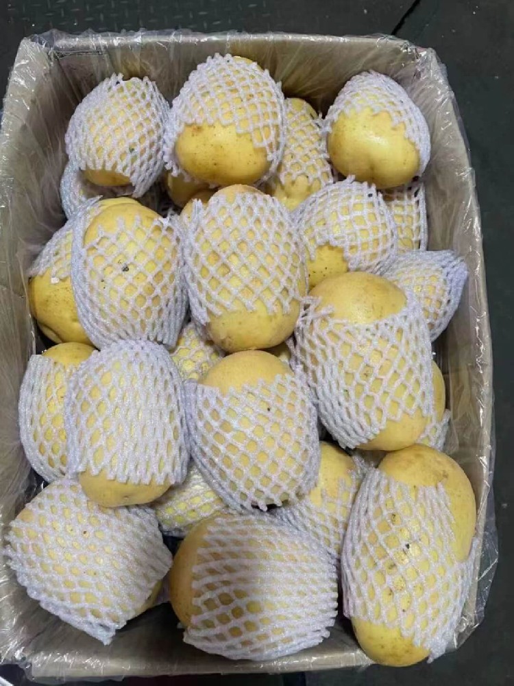 政府机关配送